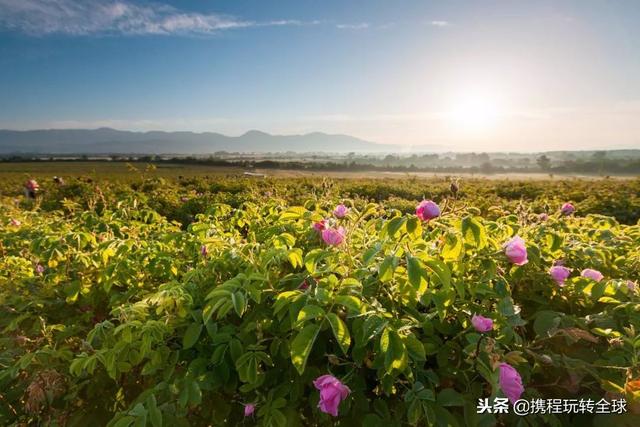 噓！令老板聞風(fēng)喪膽的2019拼假攻略來了?。?021年超強(qiáng)拼假攻略來了）