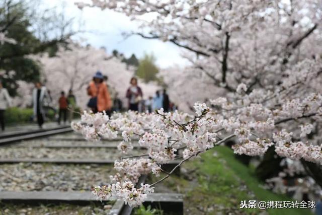 噓！令老板聞風(fēng)喪膽的2019拼假攻略來了?。?021年超強(qiáng)拼假攻略來了）