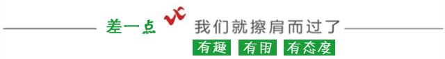 中國(guó)電子旗下中國(guó)軟件“百鳥計(jì)劃”正式啟動(dòng)（百鳥電子有限公司）